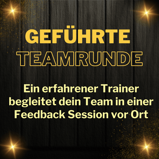 Geführte Teamrunde - Trainer begleitet dein Team