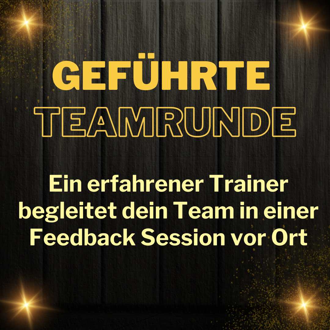 Guided team round - trainer accompanies your team